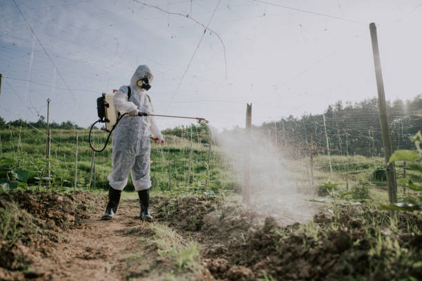 Best Commercial Pest Control Services  in Dawson, TX