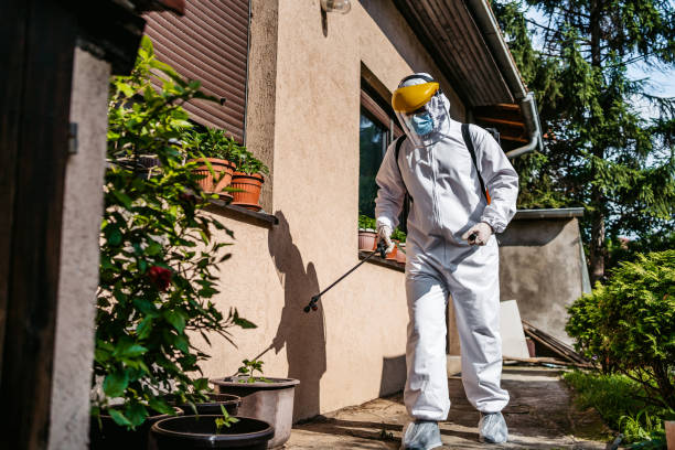 Best Residential Pest Control  in Dawson, TX