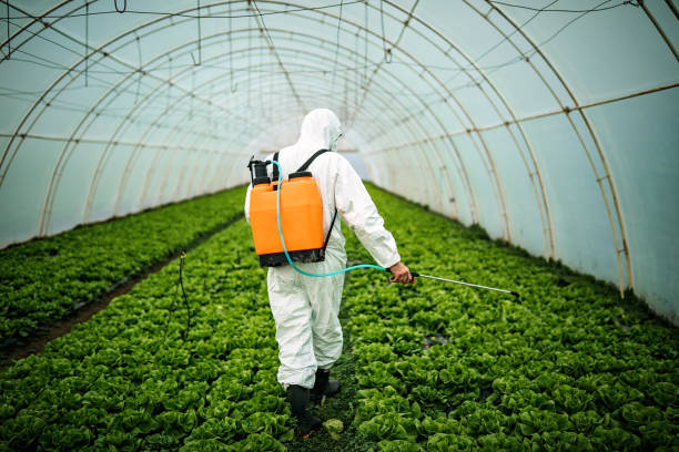 Best Local Pest Control Services  in Dawson, TX