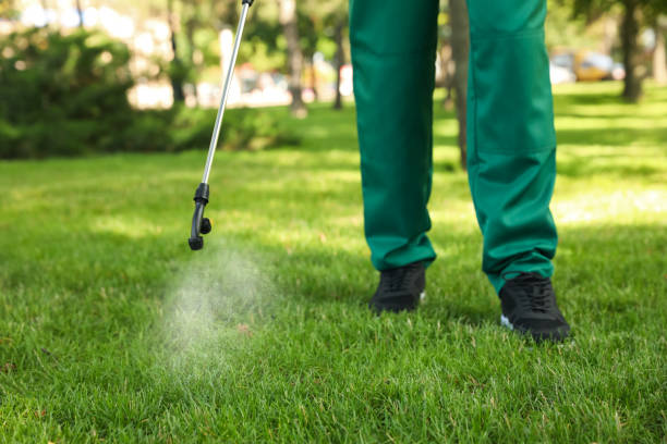 Professional Pest Control in Dawson, TX